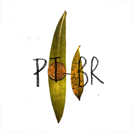 Pt-Br